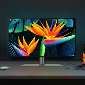 Monitores Profesionales